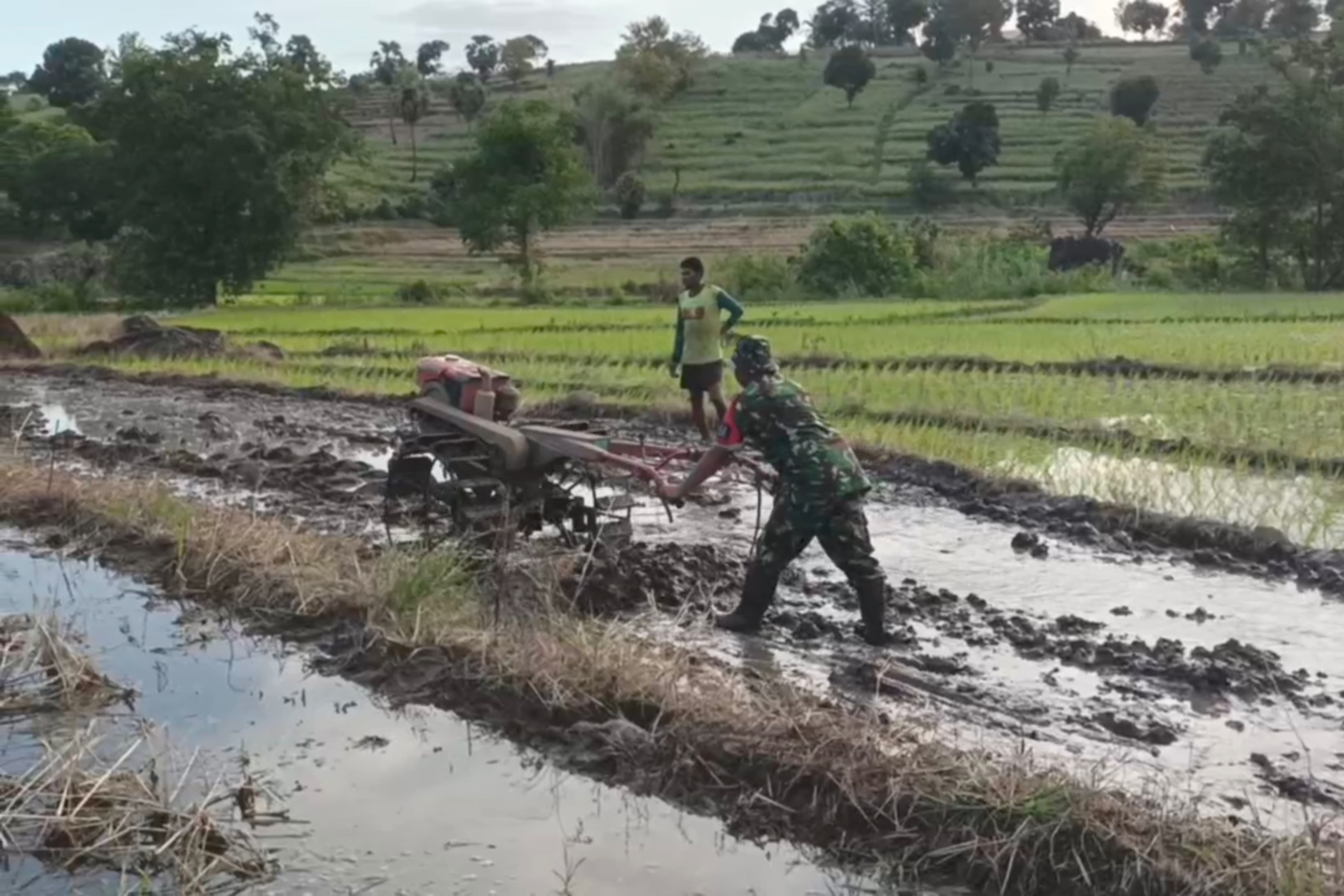 Bangkitkan Semangat Dan Motivasi Terhadap Petani, Babinsa Kodim Jeneponto Aktif Lakukan Pendampingan