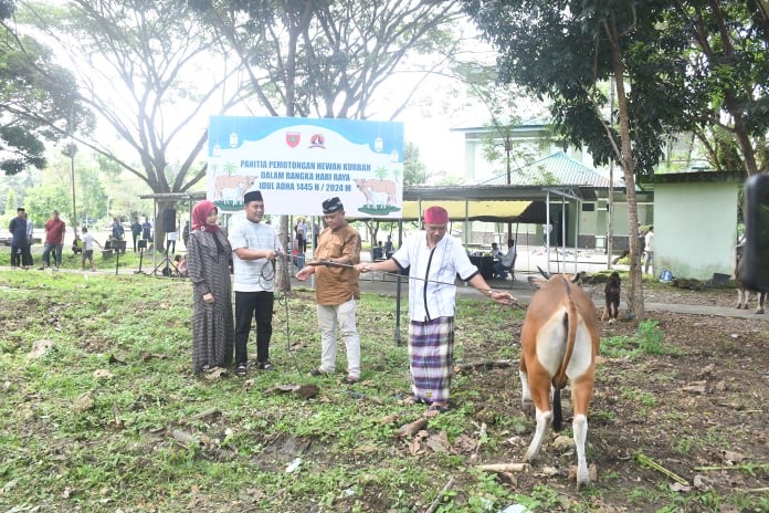 Idul Adha, Danrem 142/Tatag serahkan Hewan Kurban