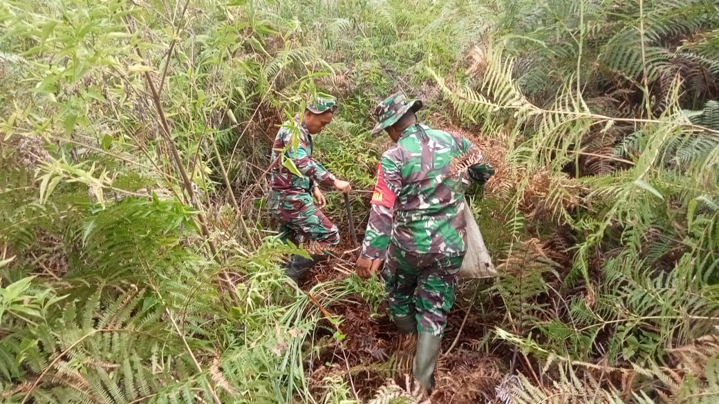 Untuk Menangani Lingkungan Alam, Babinsa Koramil Mamasa Bersama Warga Tanam Pohon