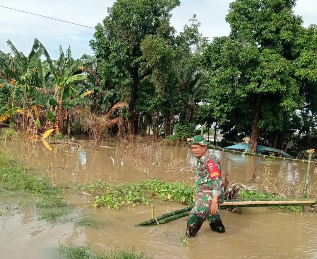 Babinsa Koramil 1406-04/Belawa Pantau Perkembangan Banjir di Kelurahan Belawa