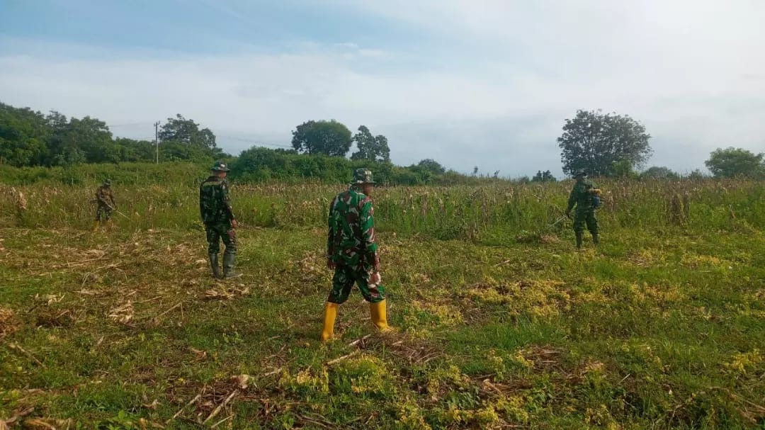 Personel Koramil 1406-03/Maniangpajo Bersihkan Lahan untuk Penanaman Jagung di Desa Mattirowalie