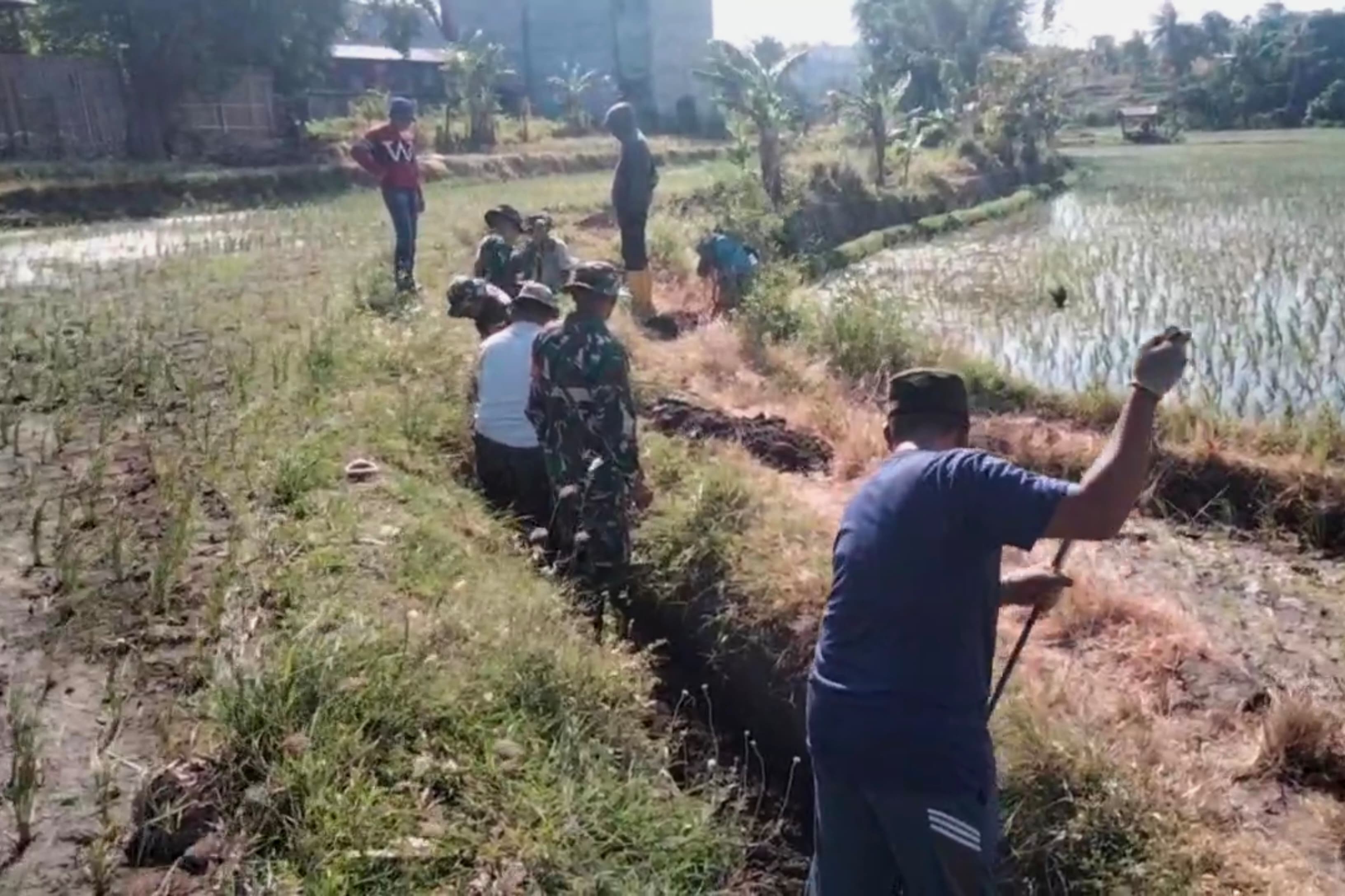 Optimalisasi Saluran Irigasi Pertanian, Babinsa Koramil Batang Bersama Poktan Lakukan Karya Bakti