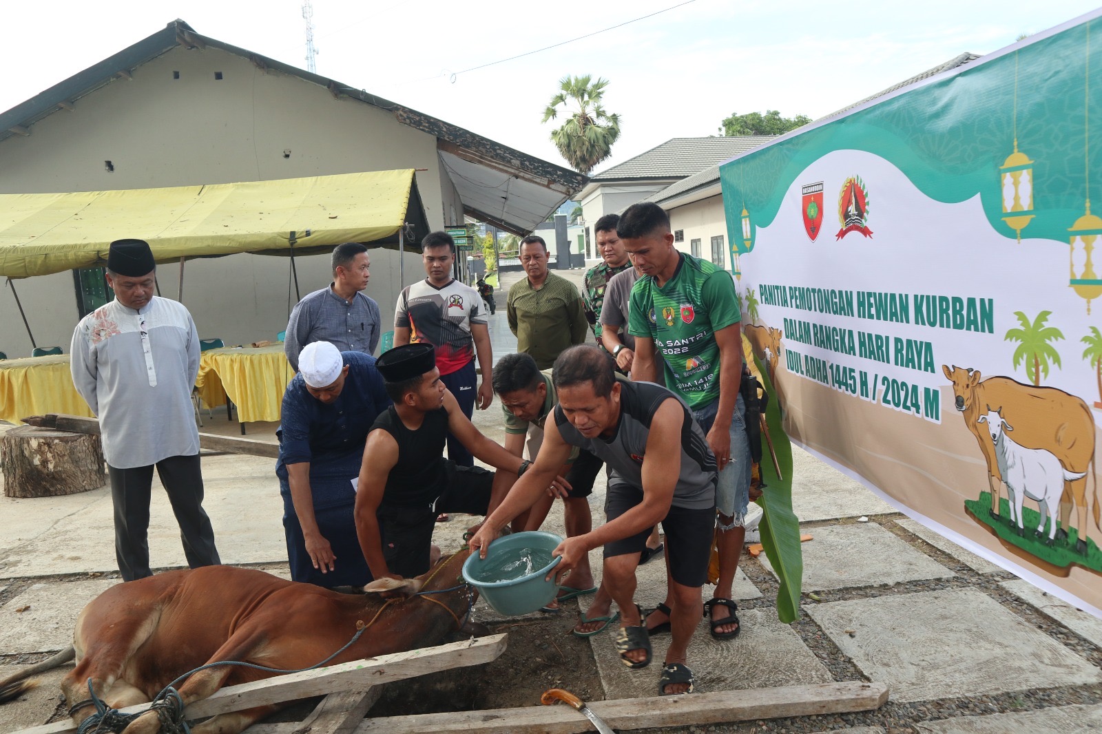 Wujud Syukur, Kodim 1418/Mamuju Laksanakan Penyembelihan Hewan Kurban di Idul Adha 1445 H