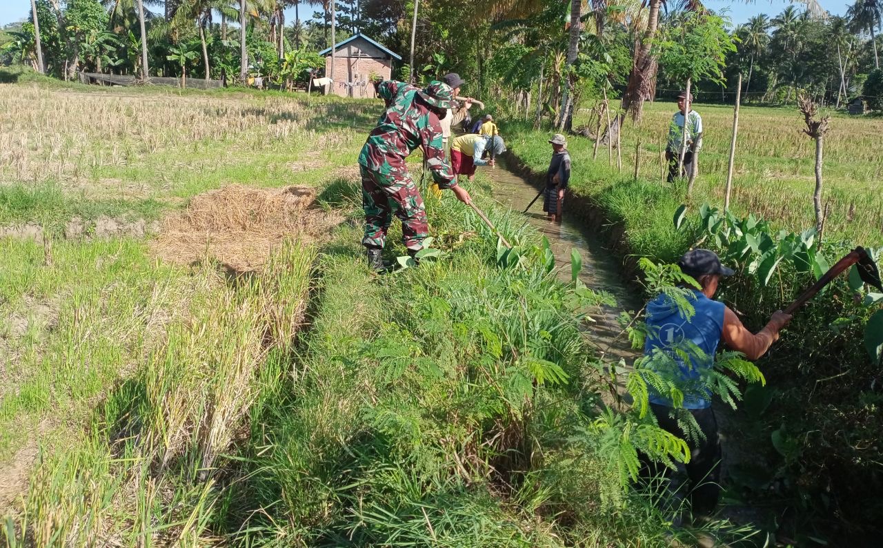 Jelang Musim Tanam Padi, Babinsa Kodim Polman Bersama Warga Bersihkan Saluran Irigasi