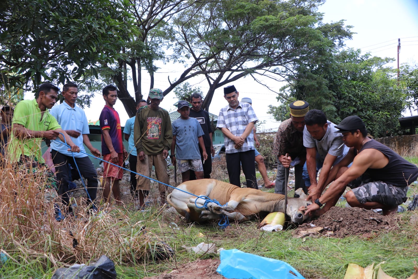 Kodim 1425 Jeneponto Sembelih 17 Ekor Hewan Qurban Di Hari Raya Idul Adha 1445 Hijriah