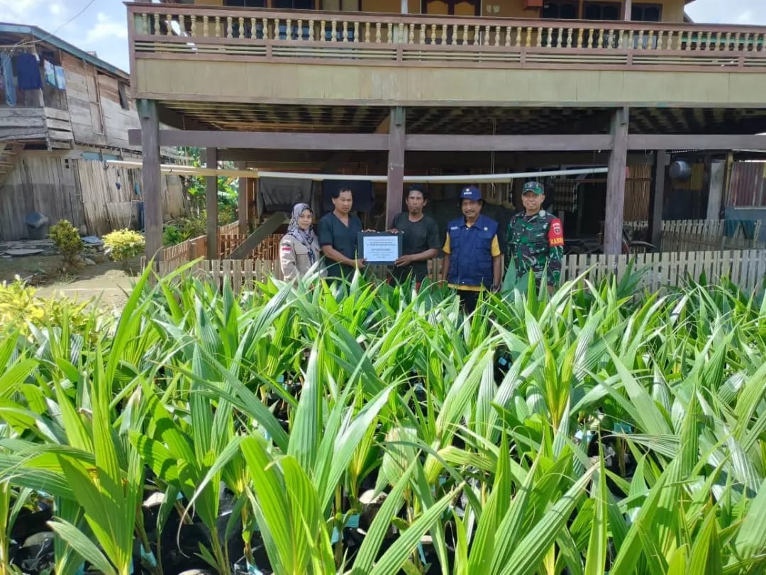 Babinsa Koramil 1406-02/Tanasitolo Dampingi Penyerahan Bibit Kelapa Genja kepada Kelompok Tani