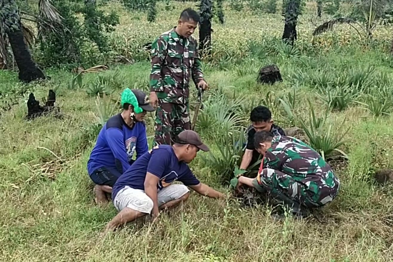Karya Bakti Penghijauan, Personil Koramil Bangkala Tamam Pohon Buah Jenis Sukun