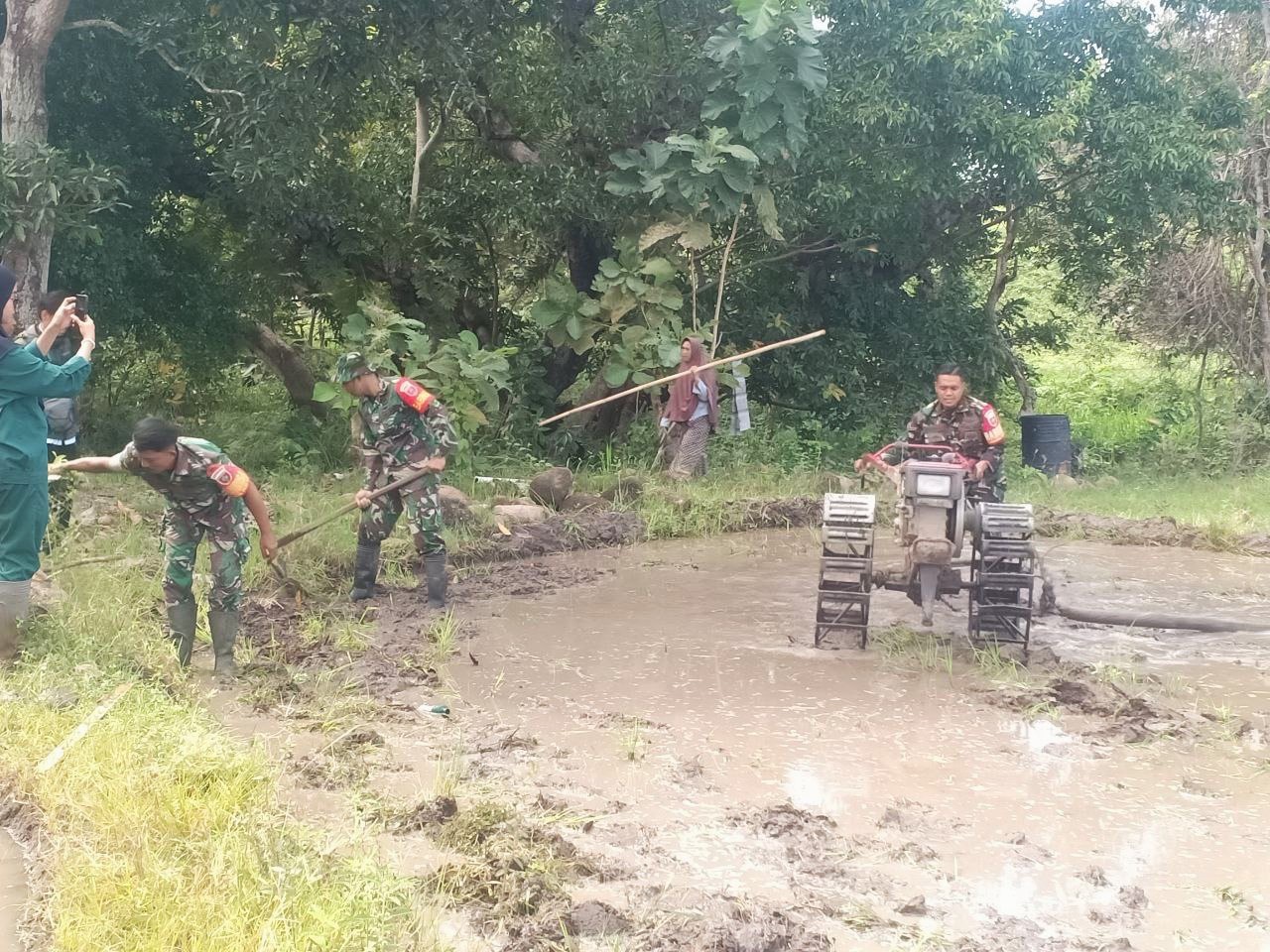 Babinsa Koramil 1405-01/Ujung Dampingi Petani Membajak Sawah di Parepare