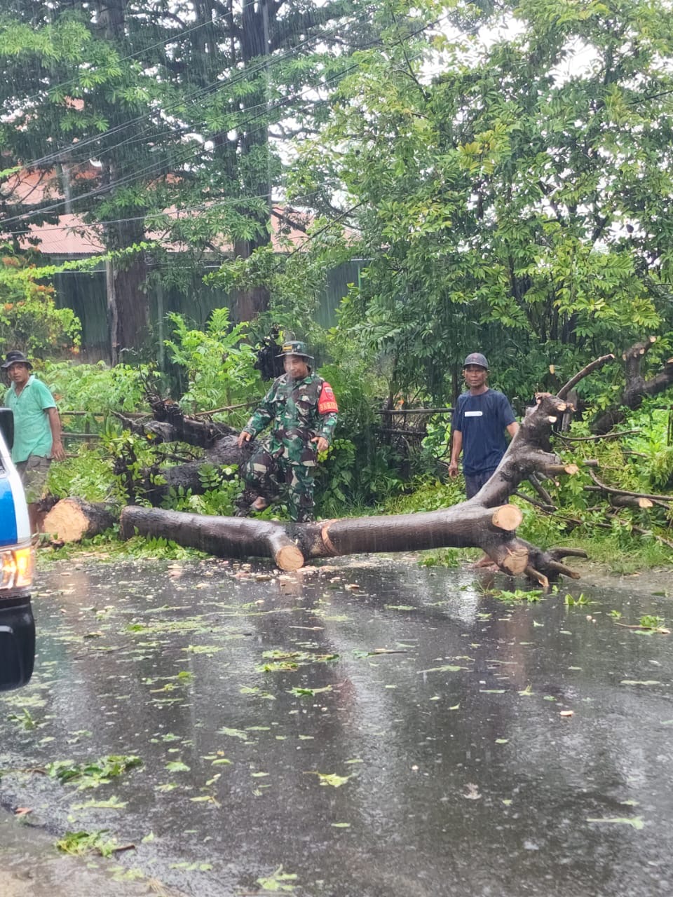 Aksi Gerak Cepat Babinsa Koramil 03/Tompobulu Bersama Masyarakat Bersihkan Pohon Tumbang